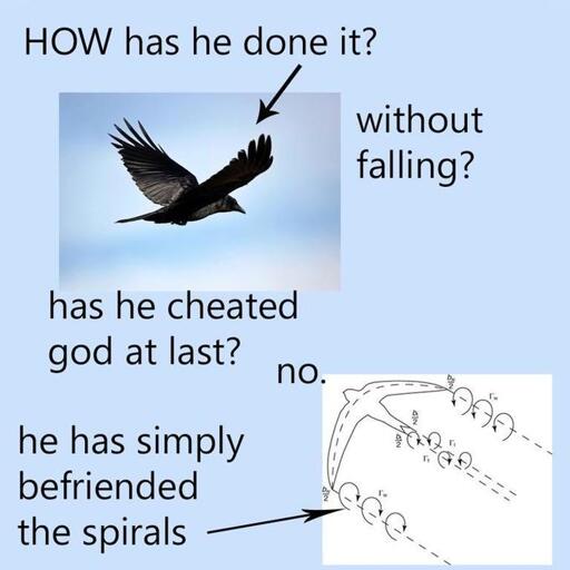A bird with an arrow pointing at it, text saying "How has he done it? without falling?". "Has he cheated got at last?     no.   he has simply befriended the spirals" arrow pointing to another diagram, depicting lift and turbulance of a bird. 