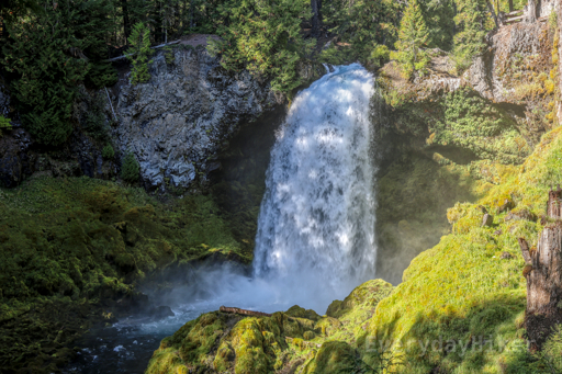 Rich green mosses line the rocks around Sahalie Falls as it pours down into a pool below.