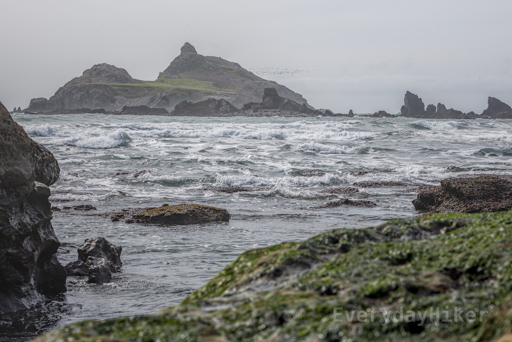 A wide shot of Castle Rock Island under gray skies with many of the jagged islets in view.  Rock outcrops covered in green may be seen in the foreground.