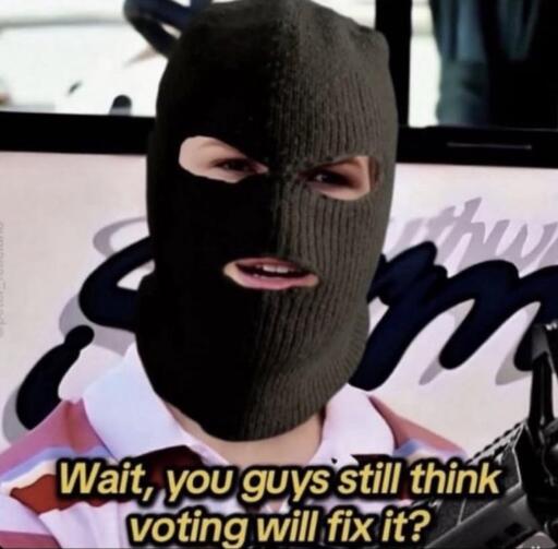 Wait, you guys still think voting will fix it? meme of confused kid with balaclava on. 